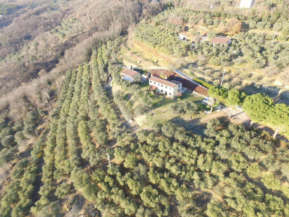 Holiday House Petrarca Arquà Petrarca Eksteriør bilde